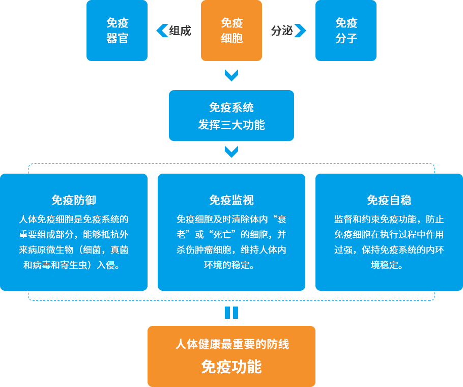 304am永利集团